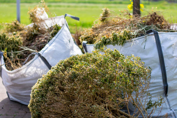Best Construction Debris Removal  in Scottsville, KY